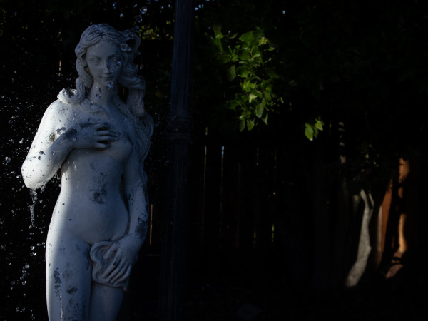 Grandma's vision of Venus