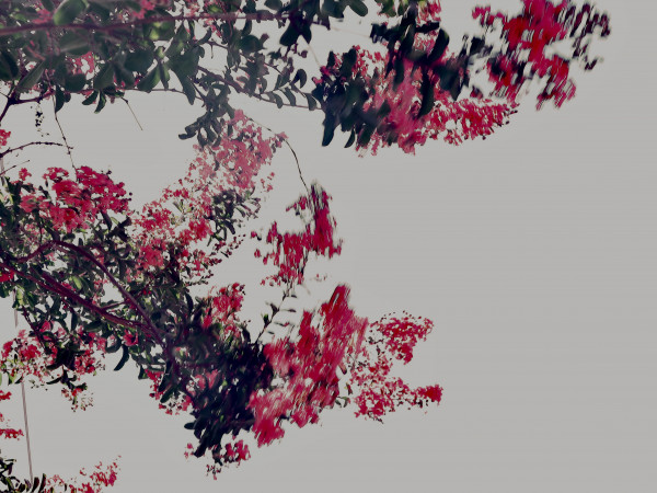 2025-07-16 22.45.11_3